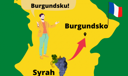 Vymení Burgundsko Pinot noir za Syrah?