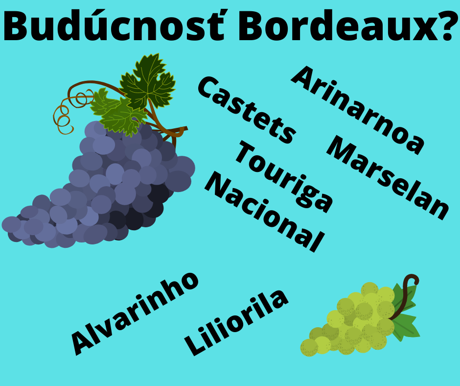 Budúcnosť Bordeaux 6 odrôd