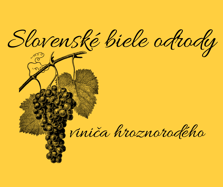 Slovenské novošľachtence biele