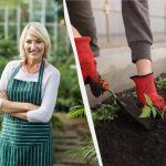 Den mest nøyaktige såkalenderen for jan 2026: hva du skal