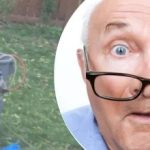 Det merkelige funnet i nærheten av treet gjorde naboen forundret: