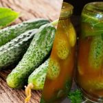 Hvordan lukke agurker i chili-ketchup for vinteren: 3 peerless oppskrifter
